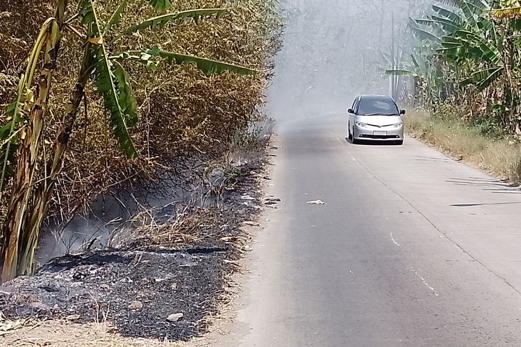 Sekitar hutan Darupono Kendal, yang sering terbakar bila musim kemarau. KOMPAS.COM/SLAMET PRIYATIN