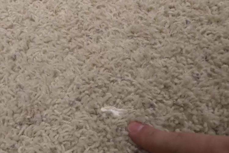 Permen karet yang menempel di karpet