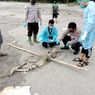 Siswa SD Temukan Kerangka Manusia di PantaI Jolosutro Blitar, Bermula Mencari Kelapa