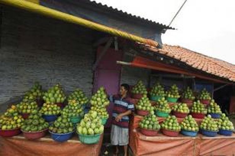 Susunan buah mangga yang terdapat pada sebuah toko di Jalan Baru, Indramayu, Jawa Barat, Jumat (26/7/2013). Berbagai jenis mangga seperti gedong, arum manis dan golek menjadikan buah ini oleh-oleh khas daerah Indramayu.