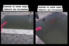 Ramai soal Pelihara Ikan di Bak Mandi, Apakah Aman?