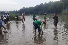 Mendengarkan Sindiran Halus Komunitas Jogokali Nusantara, Tebar 10.000 Benih Ikan, Tanam 1.000 Pohon Penangkap Air