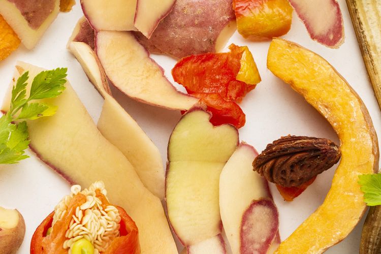 Ilustrasi sampah dapur, limbah dapur. 