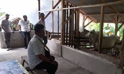 Kementan Realisasikan Program UPPO di Sumedang, Ini Kata Mentan SYL