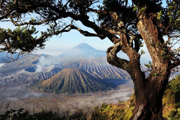 Ilustrasi Taman Nasional Bromo Tengger Semeru.