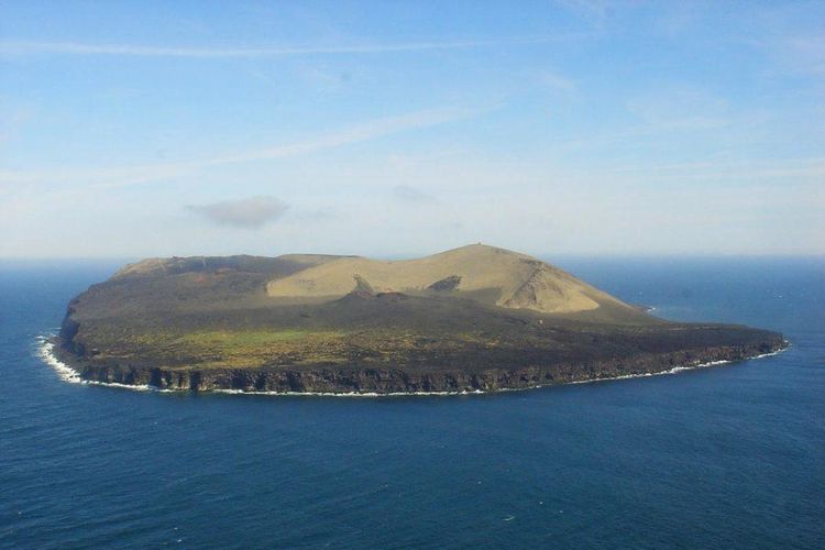 Pulau Surtsey di lepas pantai selatan Islandia. [Via Curlytales.com]