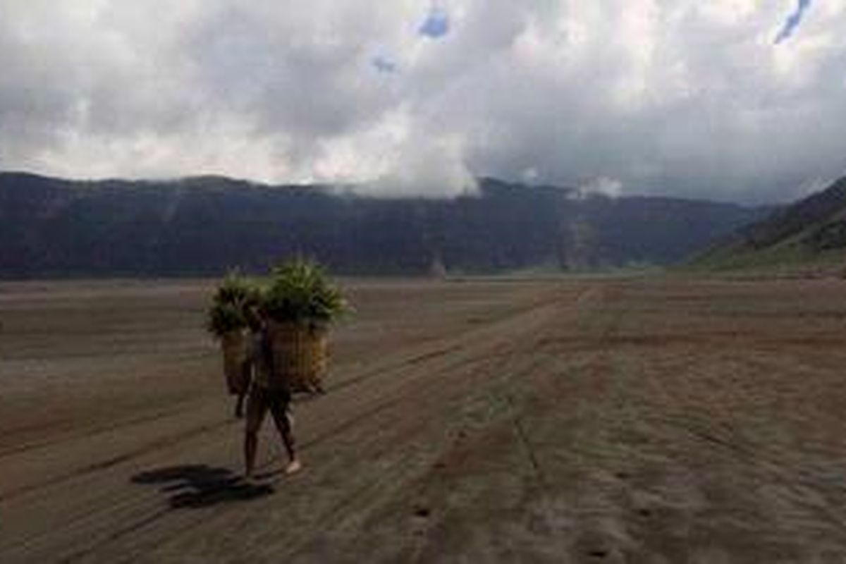 Warga berjalan mengangkut pakan ternak membelah lautan pasir di kaldera Tengger, Probolinggi, Jawa Timur, Minggu (13/11/2011). Di tengah kaldera terdapat gunung api aktif yaitu Gunung Bromo.