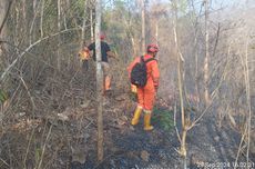 Kebakaran Hutan di Purworejo Hanguskan 6 Hektar Lahan Jati