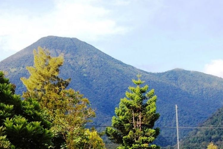 Gunung Gede Pangrango Jawa Barat