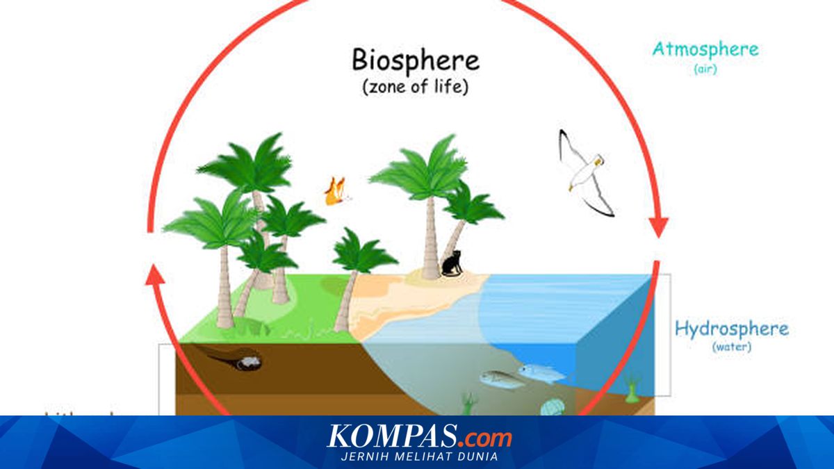 Pengertian Biosfer, serta Asal-usul dan Fungsinya