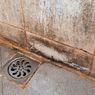 3 Bahan Rumahan untuk Bersihkan Jamur di Kamar Mandi