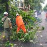 Hujan Angin Menghantam Yogyakarta Hari Ini: Kerusakan Dirasakan 3 Kabupaten dan 1 Kota