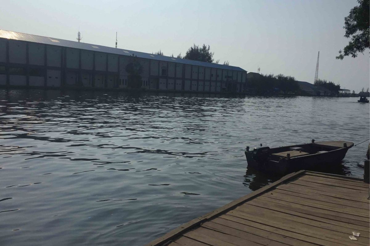 Penampakan buaya kembali terlihat di Dermaga Pondok Dayung, Pangkalan Utama TNI Angkatan Laut (AL), Tanjung Priok, Jakarta Utara, Sabtu (16/6/2018).