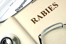 Hati-hati, Kabupaten Sukabumi Berstatus KLB Rabies 