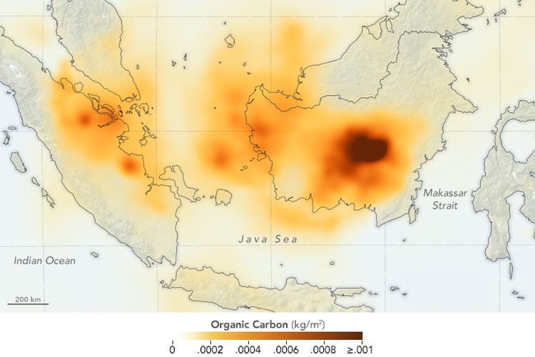 Sementara peta ini menunjukkan data karbon organik pada Selasa (17/9/2019) dari model GEOS forward processing (GEOS-FP) yang mengasimilasi informasi data satelit, pesawat, dan sistem pengamatan di darat.