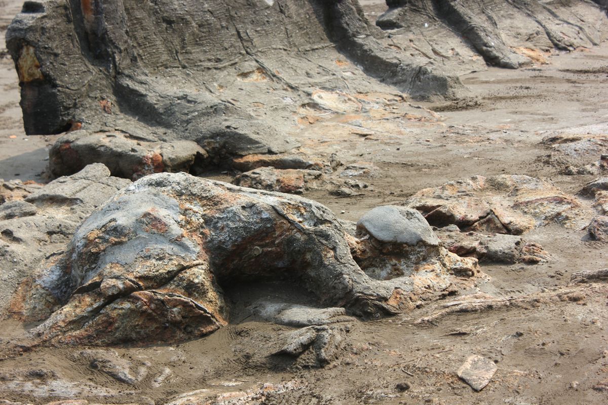4 Fakta Batu Malin Kundang di Pantai Air Manis, Benarkah Itu Sosok Nyata Si  Anak Durhaka?