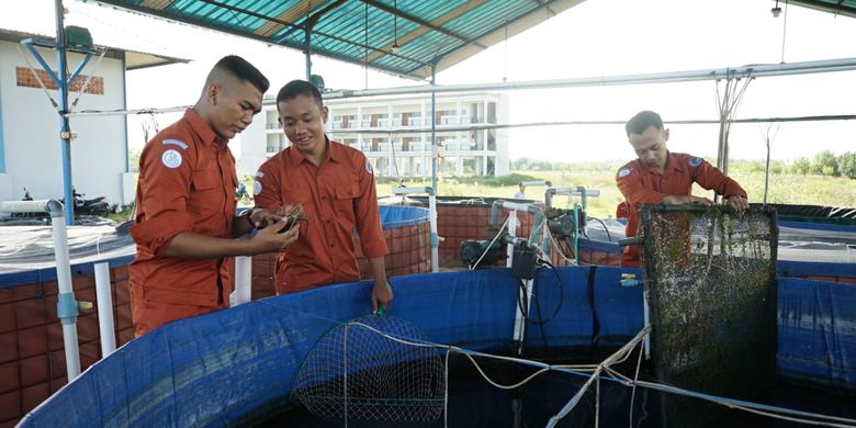 Kementerian KP membuka pendaftaran penerimaan peserta didik baru, baik di satuan pendidikan menengah maupun satuan pendidikan tinggi.