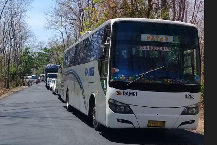 Bus DAMRI dengan rute Banyuwangi - Surabaya