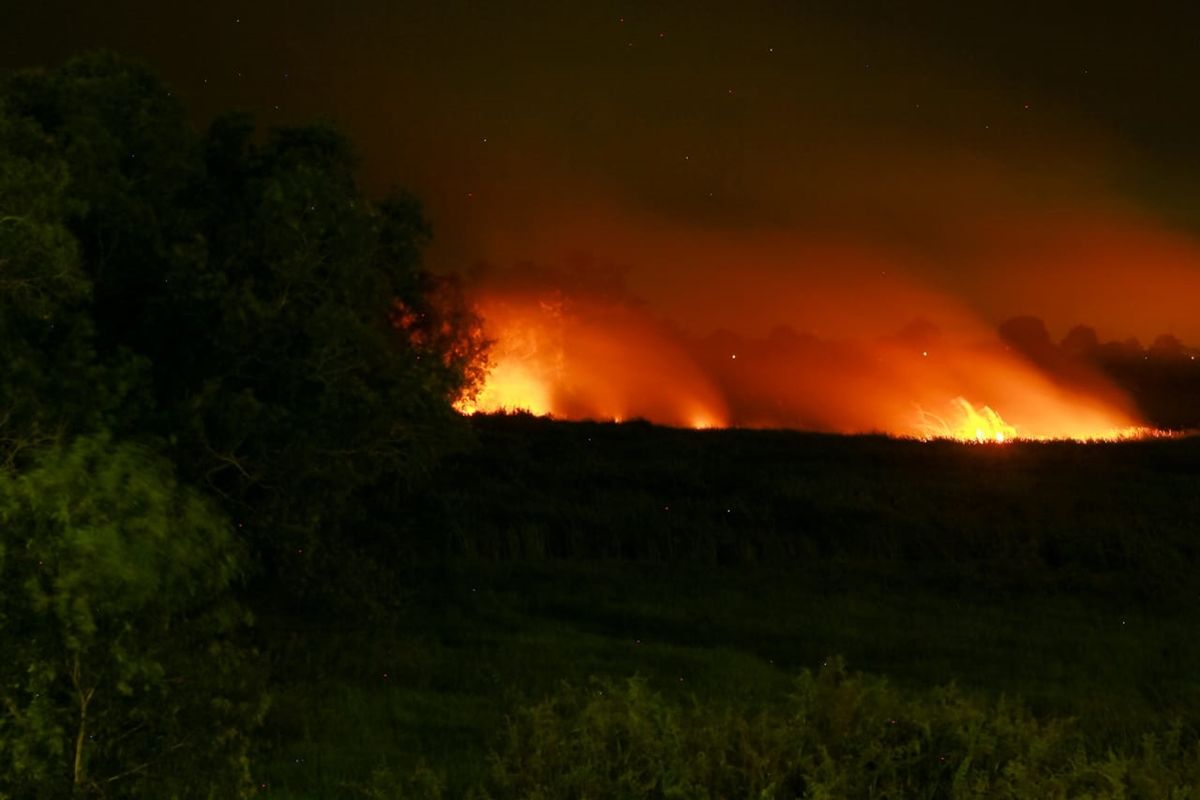 Kebakaran hutan dan lahan yang melanda Sumatera Selatan mengakibatkan kabut asap tebal menyelimuti kota Palembang.