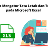 Cara Mengatur Tata Letak dan Teks pada Microsoft Excel