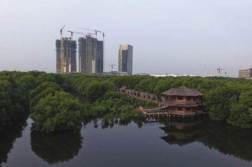 5 Wisata Hutan Mangrove di Indonesia, Mana yang Favorit?