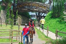 15 Wisata Puncak yang Hits buat Liburan Tahun Baru 2024