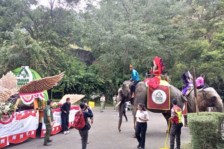 Ratusan peserta atau pengunjung Taman Safari Indonesia, Bogor, Jawa Barat, larut dalam kegembiraan saat mengikuti parade budaya dan satwa untuk memeriahkan HUT ke-78 RI.