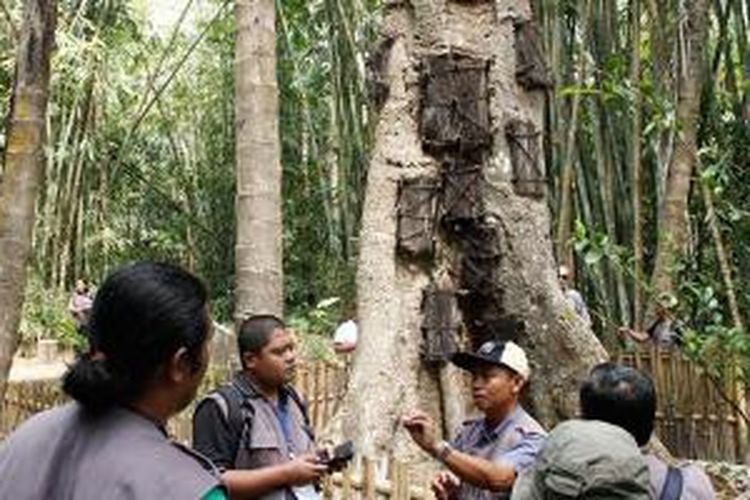 Obyek wisata Baby Grave Kambira di Kabupaten Tana Toraja, Sulawesi Selatan, Selasa (18/11/2014). Di sini jenazah bayi dimakamkan dalam pohon Taraa'. Bayi yang meninggal dan dimakamkan di pohon ini syaratnya berusia di bawah 6 bulan.
