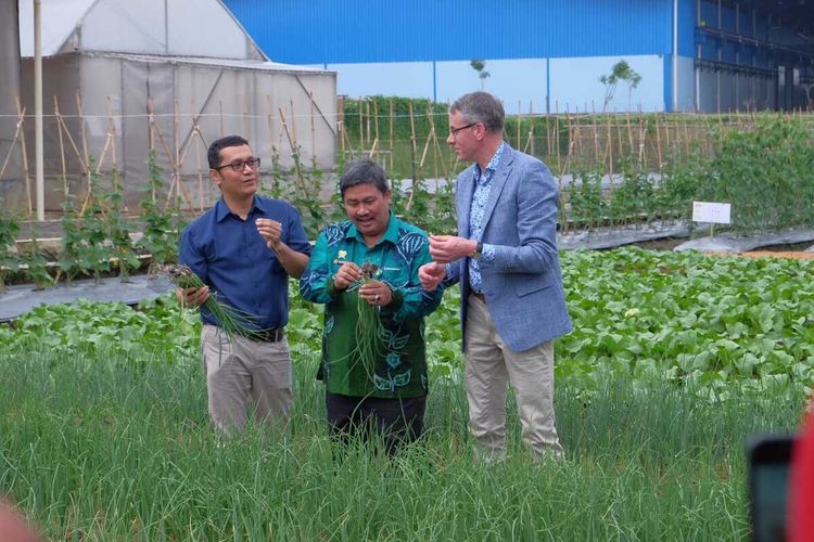 Wakil Menteri Pertanian, Alam dan Kualitas Pangan Belanda Jan-Kees Goet (jas biru) bersama Dirjen Holtikultura Kementerian Pertanian RI Suwandi dan Managing Director PT East West Seed Indonesia (Ewindo) Glen Pardede saat melihat hasil pertanian dari benih Cap Panah Merah, Kamis (12/3/2020).