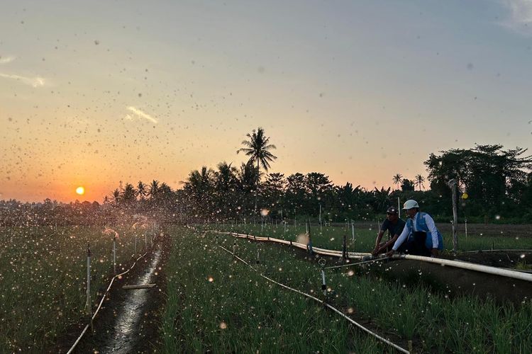 Jaga Daya Beli Masyarakat, PLN Dukung Kebijakan Pemerintah Pertahankan Tarif Listrik hingga September 2026
