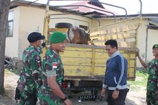 TNI Perbatasan Serahkan Sapi Ilegal Asal Timor Leste ke Polisi