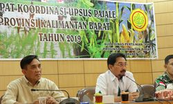 Kementan: Optimalisasi Irigasi akan Bawa Indonesia Jadi Lumpung Pangan Dunia