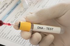 Digunakan untuk Tentukan Garis Keturunan, Begini Cara Kerja Tes DNA
