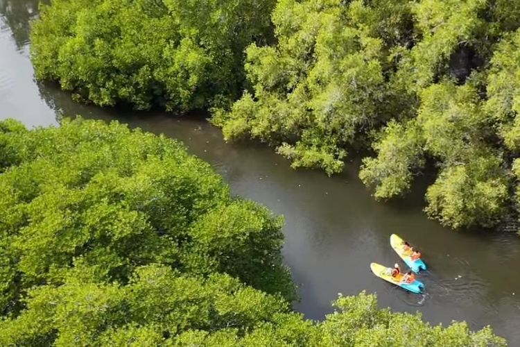 Kemenhut Sebut Vila di Taman Nasional Bali Barat Kantongi Izin 