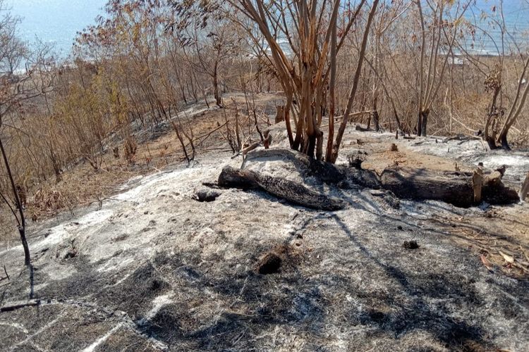 Kebakaran lahan pertanian di Desa Rokirole, Kecamatan Palue, Kabupaten Sikka, Nusa Tenggara Timur (NTT)