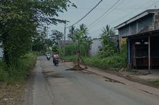 Warga Malang Tanam Pohon Pisang di Jalan Umum, Kondisi Berlubang dan Sering Terjadi Kecelakaan