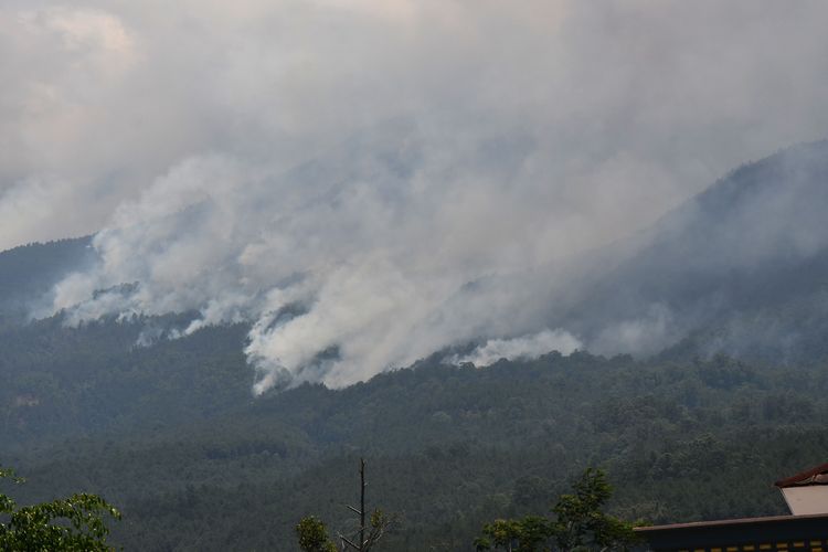 Asap mengepul dari lokasi kebakaran hutan Gunung Lawu terlihat dari Karanggubito, Kendal, Ngawi, Jawa Timur, Senin (2/10/2023). Kebakaran kawasan hutan Gunung Lawu yang terjadi sejak Jumat (29/9) hingga Senin (2/10) belum bisa dipadamkan dan semakin meluas hingga membakar lebih dari 150 hektare areal hutan yang terbakar. 