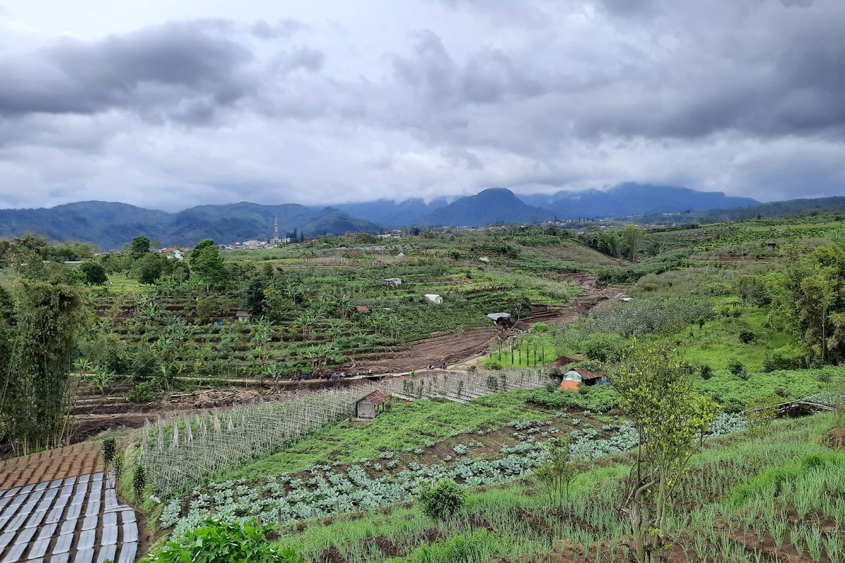 Kondisi di daerah hulu aliran sungai penyebab banjir bandang di Kota Batu, Jumat (5/11/2021).