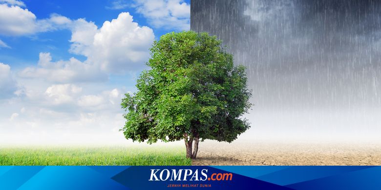 Bagaimana Prediksi Iklim Tahun 2020 Ini Kata Bmkg Halaman All Kompas Com