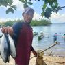 Soal Maluku Lumbung Ikan Nasional, Nelayan: Kita Tetap Cari Makan di Laut