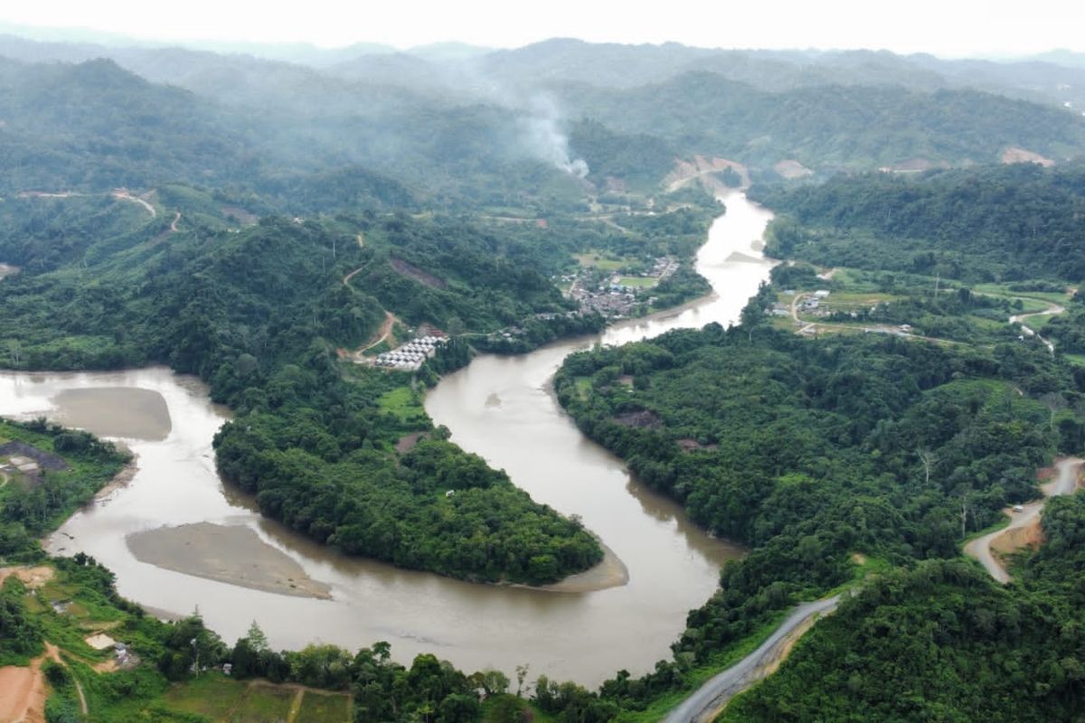 Hutan dan Ekosistem Terancam Bentang alam hutan di sekitar Sungai Mentarang yang akan tergenang jika proyek PLTA tetap berjalan. Keanekaragaman hayati di kawasan ini menghadapi ancaman serius. Jumat, (14/3/2025) 