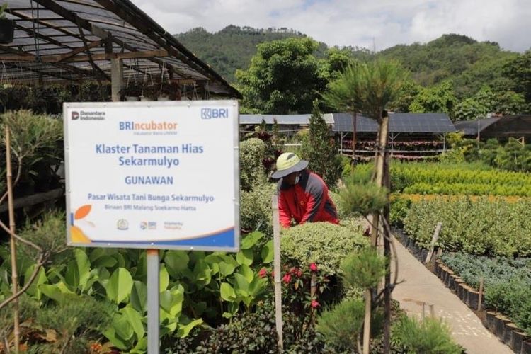 Perkuat Ekonomi Kerakyatan, BRI Berdayakan 41.217 Klaster Usaha melalui Pembiayaan dan Literasi Keuangan