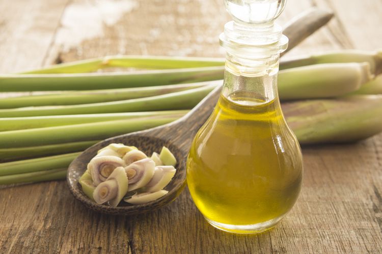 Ilustrasi minyak serai. Ada sepuluh potensi manfaat minyak esensial serai untuk kesehatan tubuh yang sayang dilewatkan. 