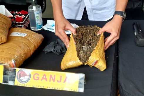 Kronologi Penangkapan Jaringan Pengedar 752 Kilogram Ganja Lintas Sumatera-Jawa, Nilai Barang Capai Rp 3,7 Miliar