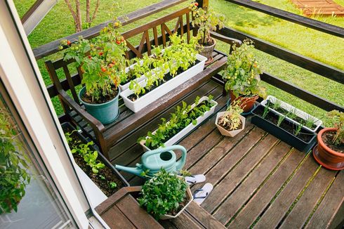 5 Cara Menciptakan Kebun Kecil di Rumah