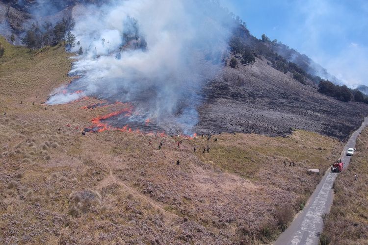 Kebakaran di TNBTS Lumajang