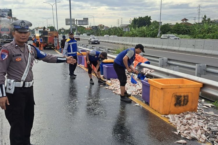 Evakuasi muatan ikan berceceran di Tol Sumo, Surabaya, Senin (9/12/2024).