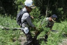 Polisi Tangkap Sopir Pengedar Narkoba di Bogor