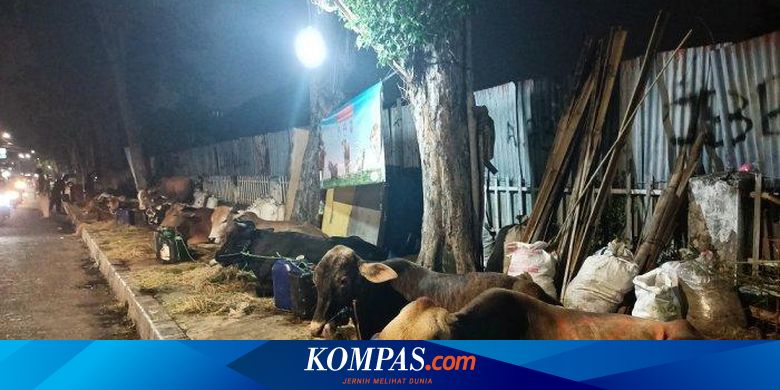Penjual Hewan Kurban di Johar Baru Setoran ke Ormas agar Bisa Jualan di Trotoar - Vimarsana News