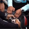 Kronologi Polisi Selamatkan 2 Anak Anjing yang Terjebak di Jok Motor Sitaan...